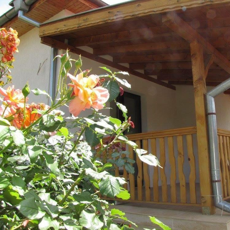 Guest House Verji Sapareva Banya Extérieur photo